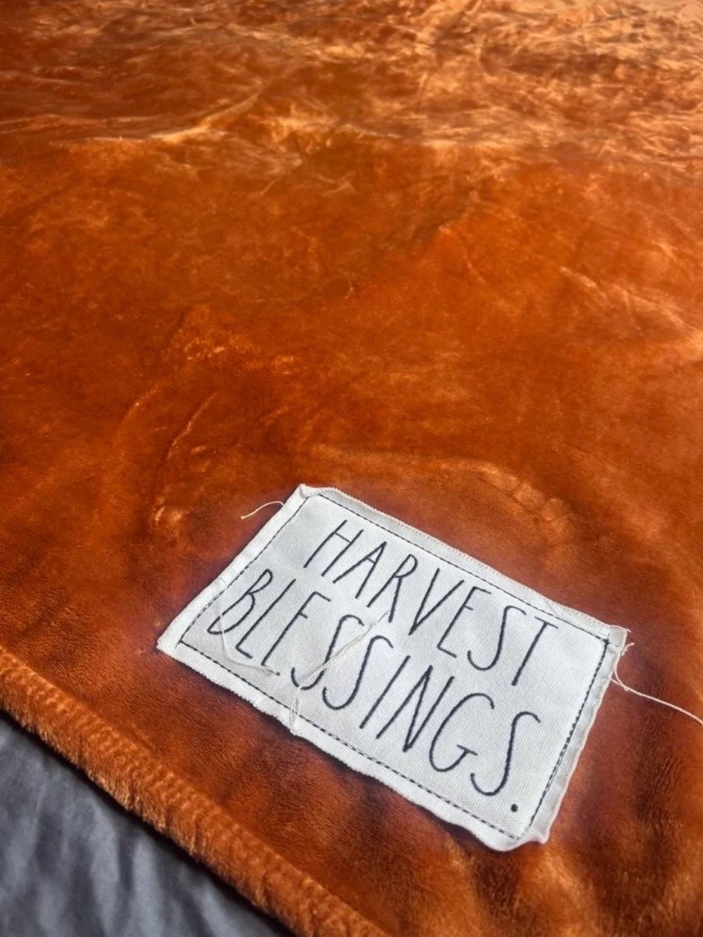 Rae Dunn Brown fall Plush Throw blanket harvest a blessings, patch, cozy holiday